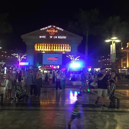 With Terrace In Playa De Americas *