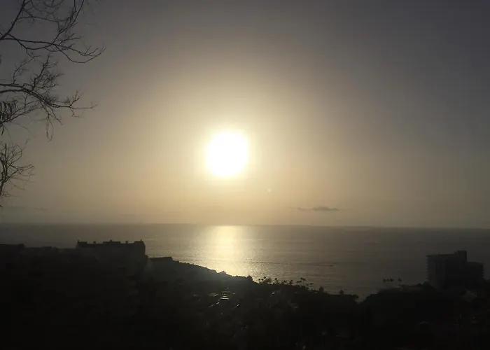 With Terrace In Playa De Americas *